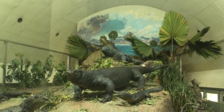 Museum Komodo dan Taman Reptil